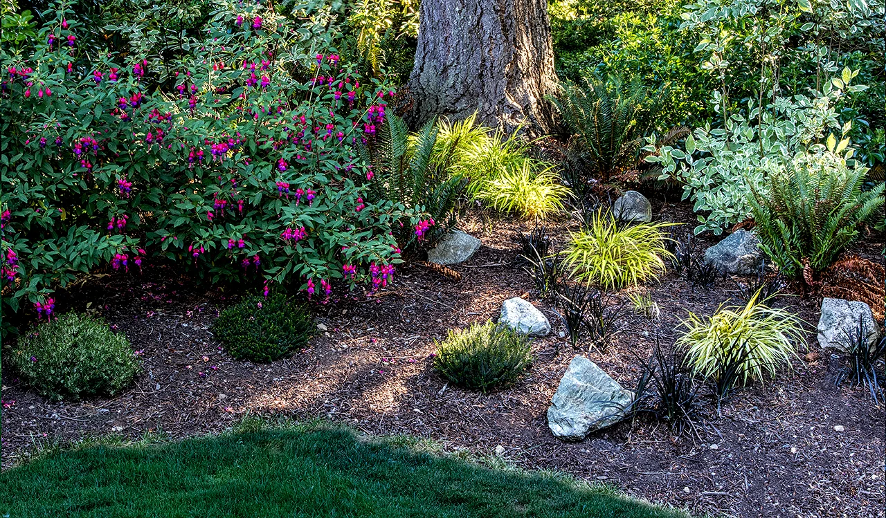 Woodland-Inspired Garden Design with Native Plants & Deer